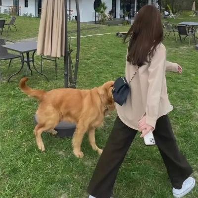 死亡链接